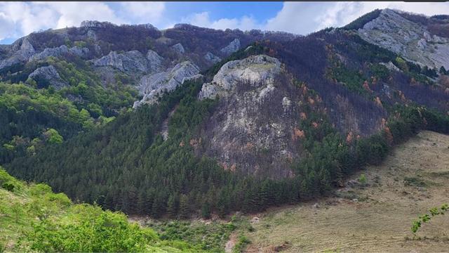 Cheile Plaiului